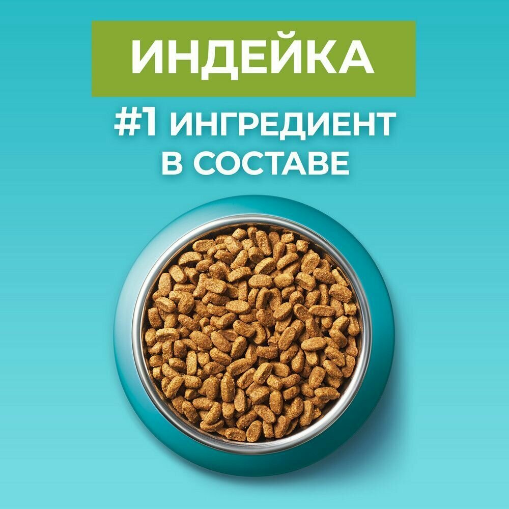 Сухой корм Purina ONE полнорационный для взрослых кошек, живущих в домашних условиях, с высоким содержанием индейки,3 кг 4 шт - фотография № 6