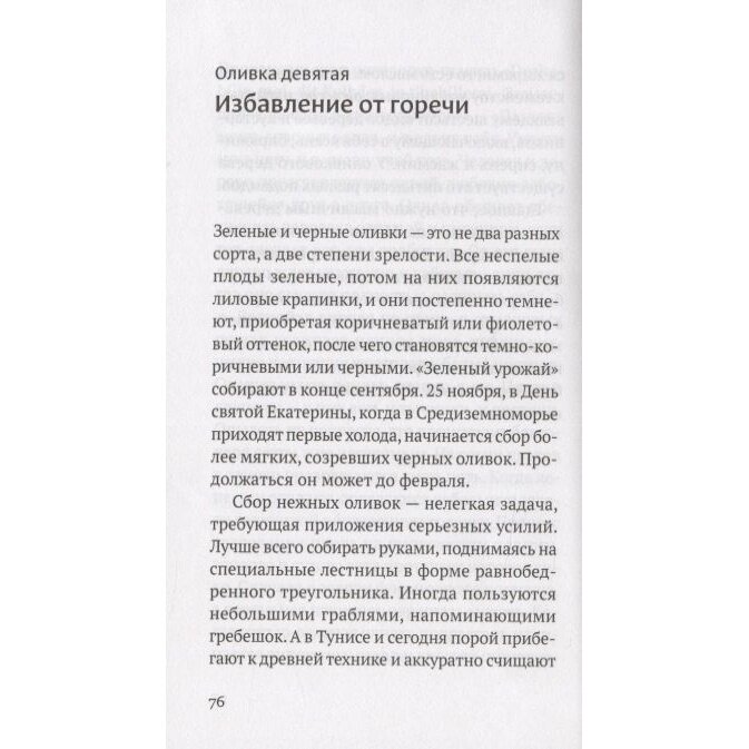 Дивная олива. Краткое культурологическое исследование - фото №4