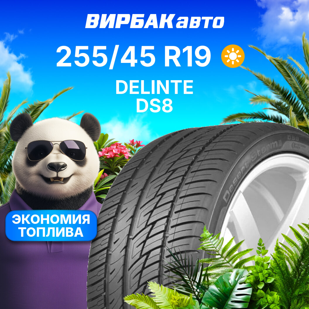 Летние шины DELINTE DS8 255/45R19 100Y