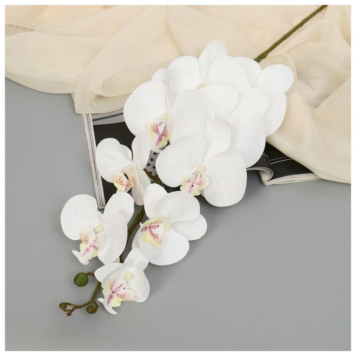 Poetry in flowers Цветы искусственные "Орхидея фаленопсис бархатистая" 10х90 см, белый