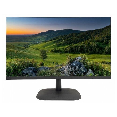 Монитор CARCAM LED24D Monitor