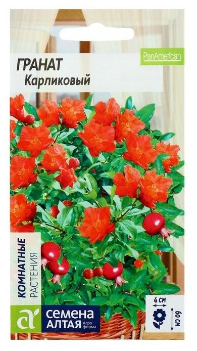 Семена комнатных цветов Гранат Карликовый, Мн, цп, 5 шт.