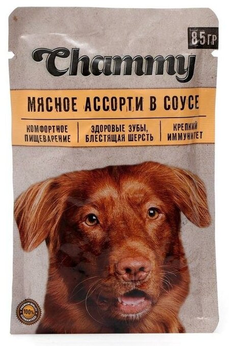 Влажный корм Chammy для собак, мясное ассорти, 85 г 25 шт