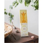 Благовония Golden Champa Золотая Чампа PURE-IN classic - изображение