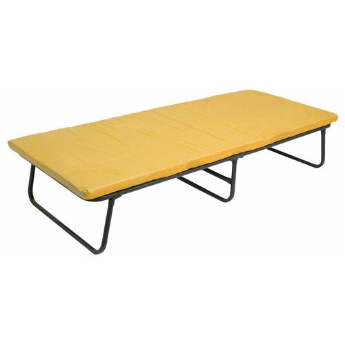 Раскладушка на сетке с матрасом ППУ 5см 