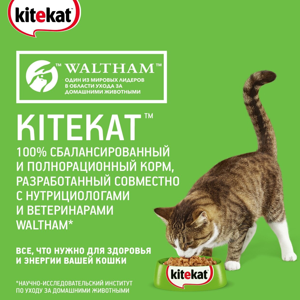 Корм влажный для кошек KiteKat 85г говядина в желе пауч, 28 шт - фотография № 8