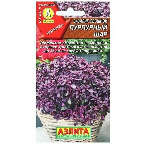 Семена Базилик овощной Пурпурный шар, 0,3 г в комлпекте 3, упаковок(-ка/ки)
