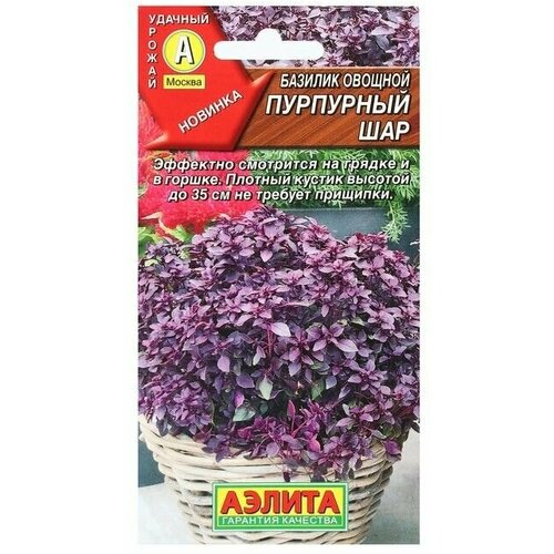 Семена Базилик овощной Пурпурный шар, 0,3 г в комлпекте 3, упаковок(-ка/ки) семена базилик фиолетовый 0 3 г в комлпекте 3 упаковок ка ки
