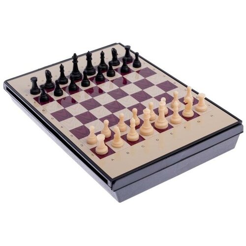 Шахматы магнитные, с ящиком, 24 х 18 см шахматы магнитные 40 x 40 см доска и фигуры пластик