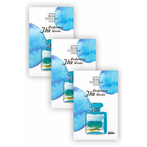 Сухой ароматизатор, саше, сухие духи для одежды Океан, 15 гр, 17х11 см, 3 шт