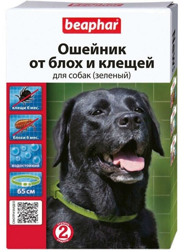 Beaphar ошейник от блох и клещей Flea & Tick для собак и кошек, 65 см, зеленый