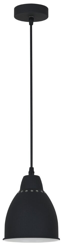 Потолочный светильник Arte Lamp Braccio A2054SP, E27, 60 Вт, кол-во ламп: 1 шт, цвет: черный