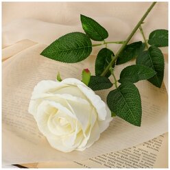 Poetry in flowers Цветы искусственные «Роза боливийская» 8х55 см, белый