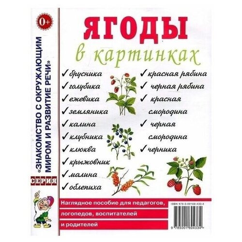 Ягоды в картинках. Наглядное пособие для педагогов, воспитателей, логопедов, родителей.А4