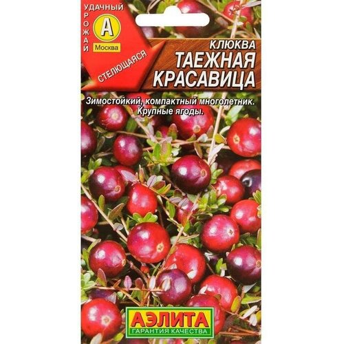 Семена Клюква крупноплодная Таежная красавица, 0,02 г 10 упаковок семена клюква крупноплодная таежная красавица 0 02 г 2 шт