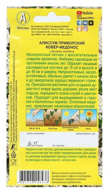 Семена Цветов Алиссум "Ковер-медонос", 0,1 г