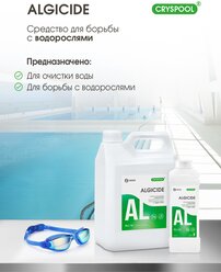 Средство для борьбы с водорослями CRYSPOOL algicide (канистра 1 л)