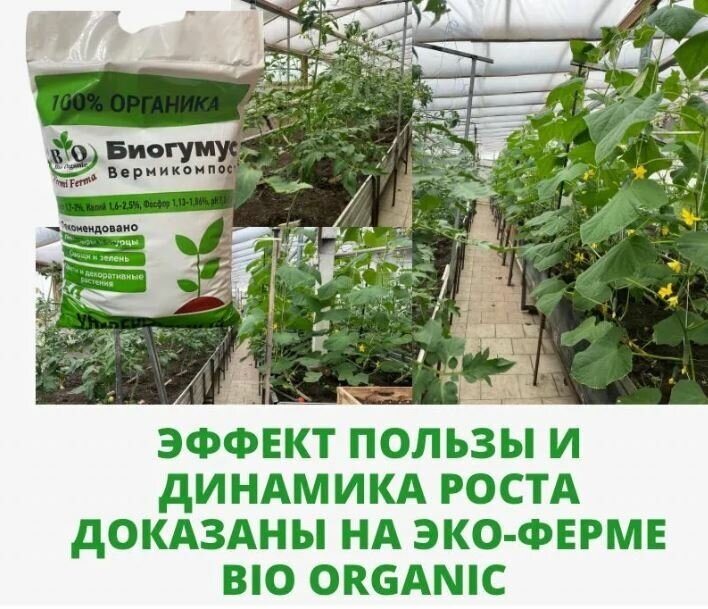 Удобрение органическое универсальное / Биогумус (вермикомпост) Bio Organic / 5 литров - фотография № 6