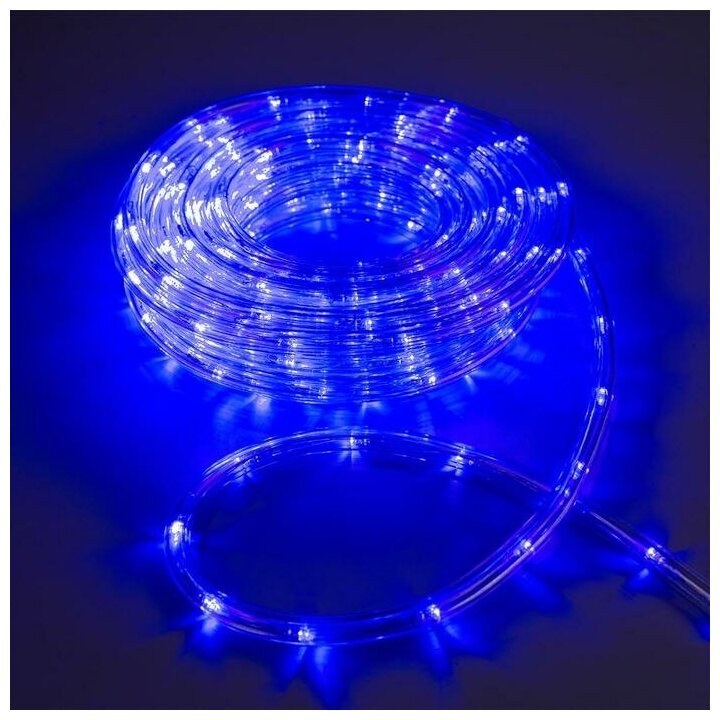 Световой шнур Luazon Lighting 10 мм, IP44, 10 м, 24 LED/м, 220 В, 8 режимов, свечение синее