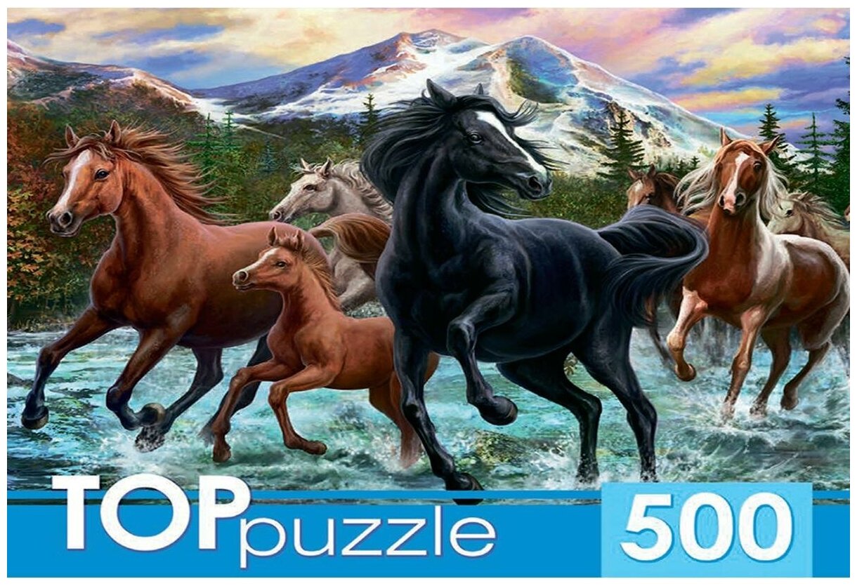 TOPpuzzle-500 "Табун лошадей в горах" (ХТП500-6812) Рыжий кот - фото №2