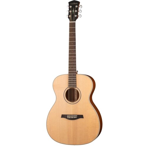 S22-GT Акустическая гитара, с чехлом, глянец, Parkwood parkwood s22 gt акустическая гитара с чехлом