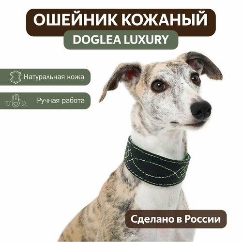 Ошейник DOGLEA LUXURY черный/мятный XL