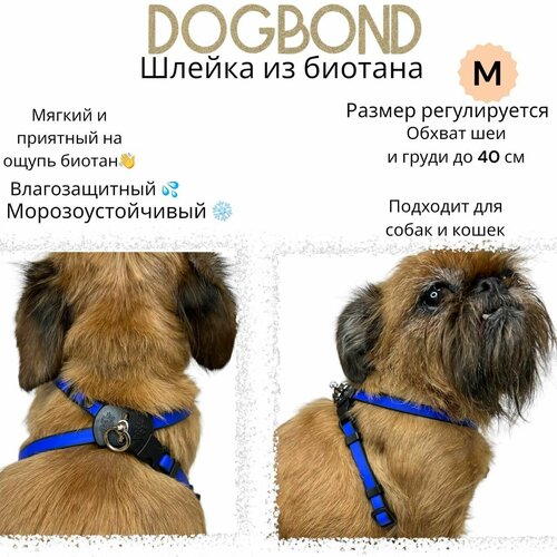 Шлейка Dogbond 