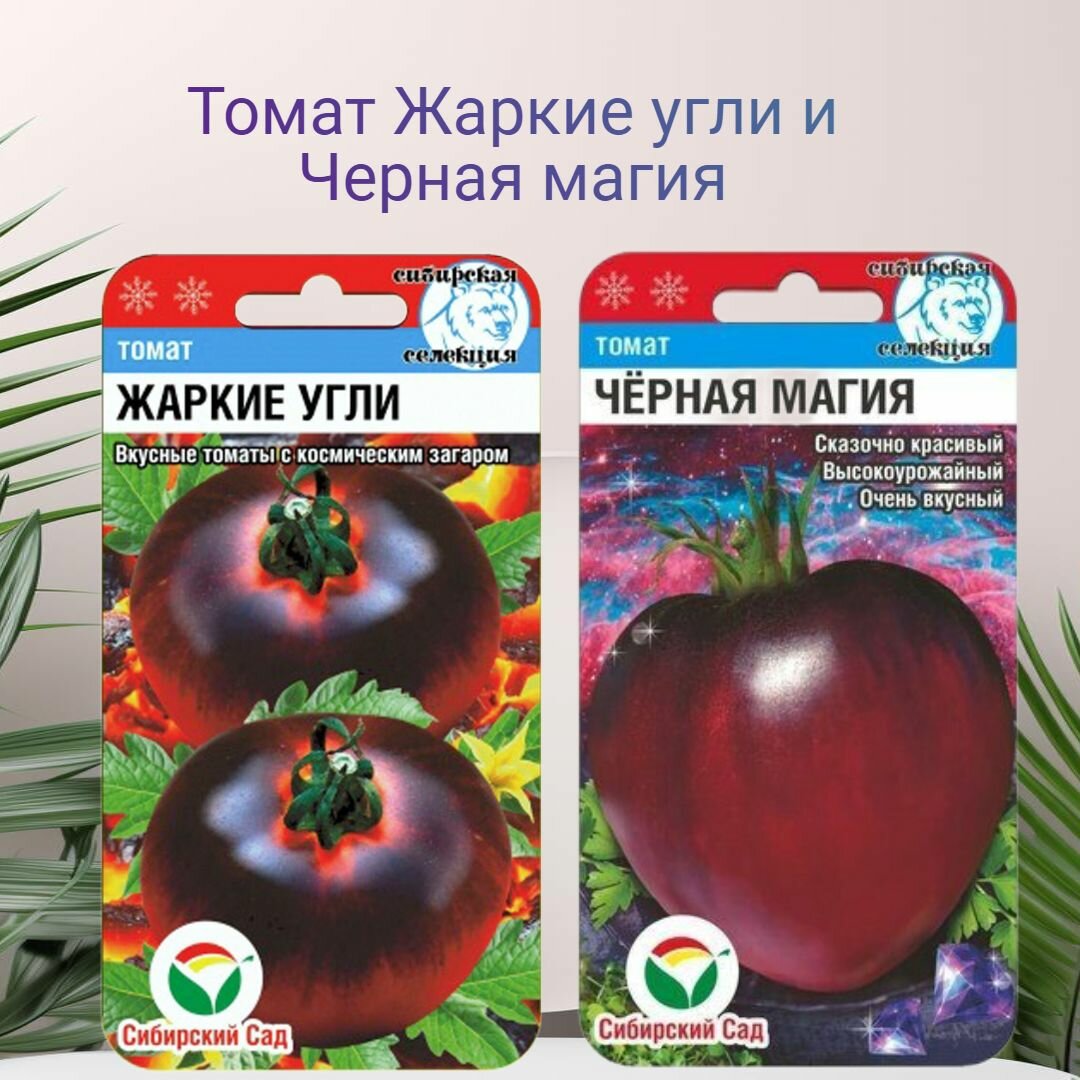 Томат Жаркие угли и Черная магия 2 пакета