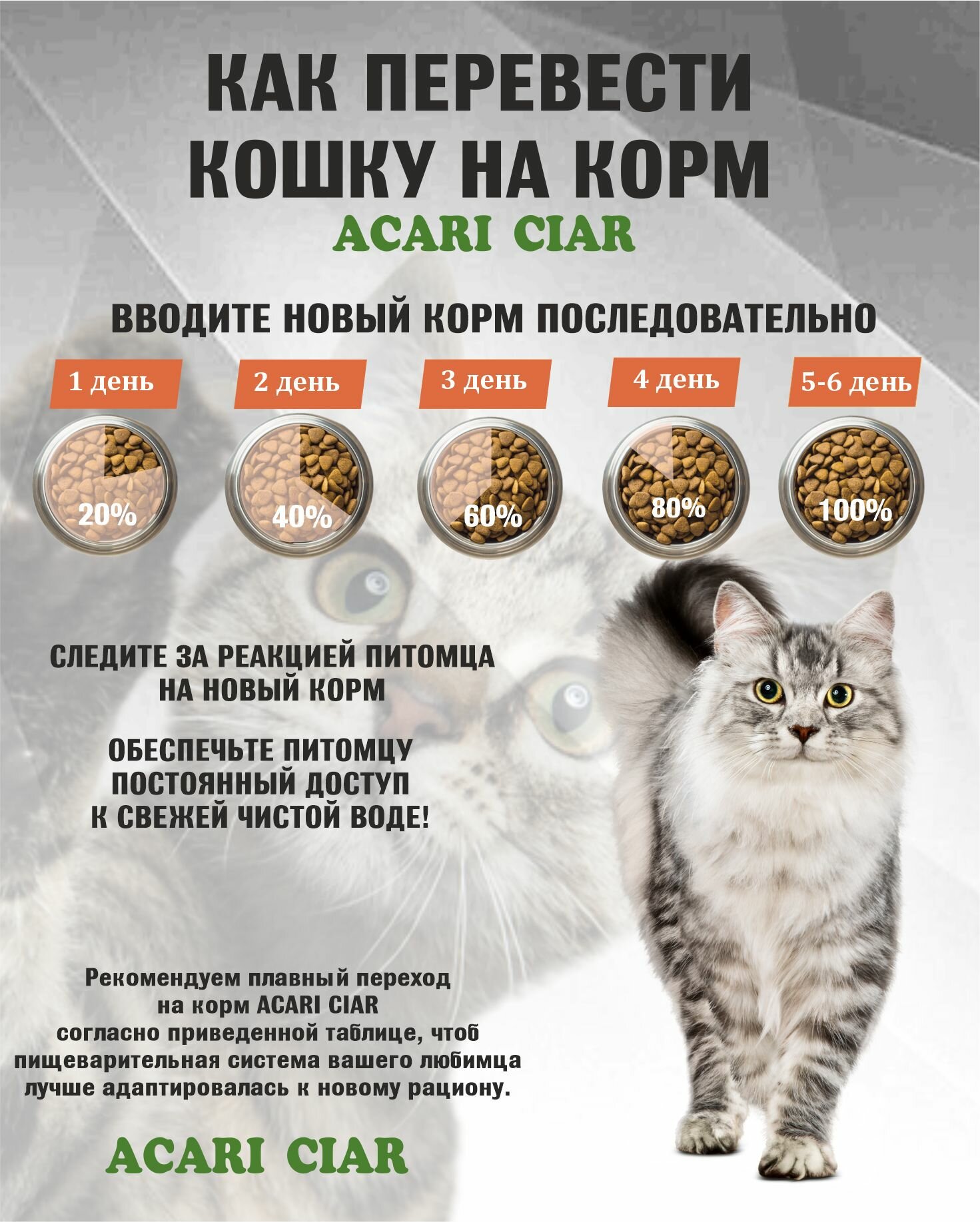 Сухой корм для кошек Acari Ciar Vet A Cat Sterilized Индейка 12 кг Maine Coon гранула — фото 1