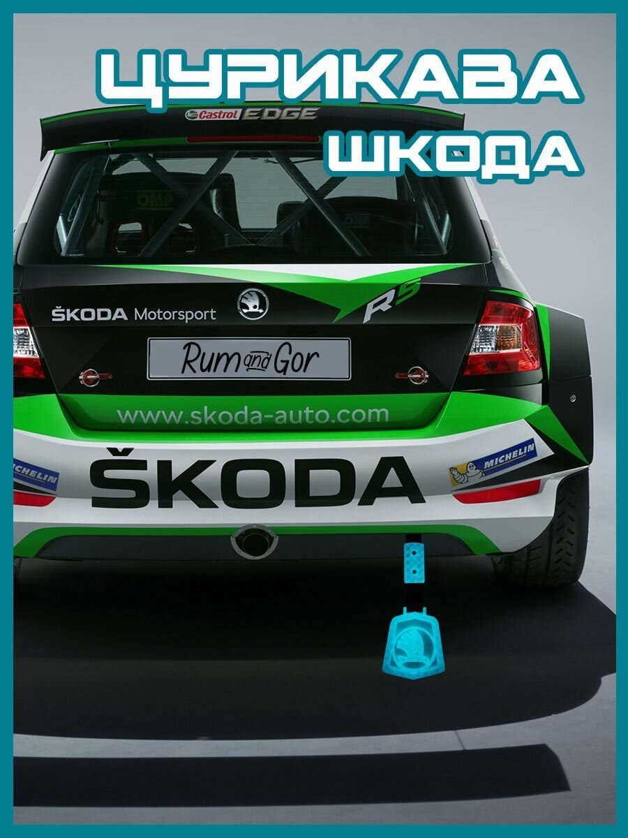 Цурикава Шкода/Skoda черного цвета