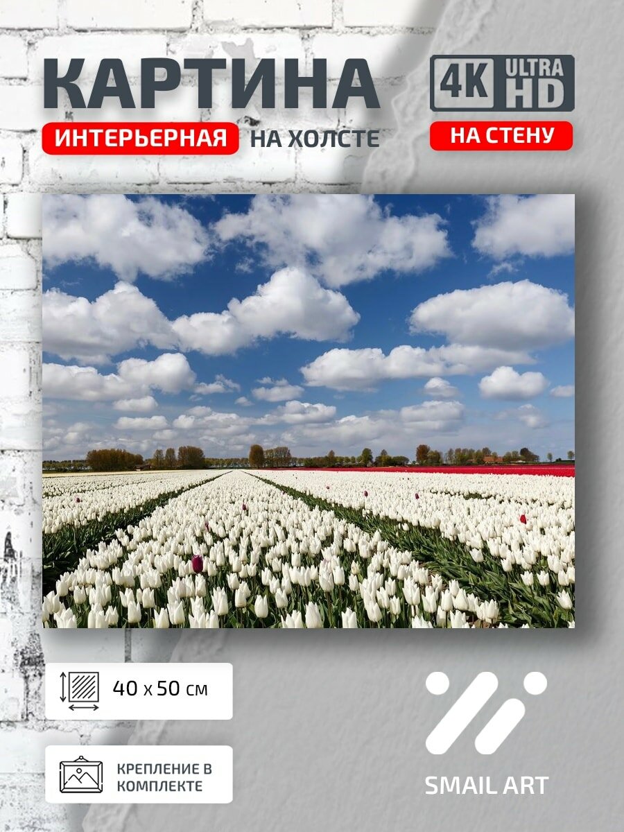 Картина на холсте интерьерная 40 на 50 на стену Природа Тюльпаны для офиса пейзаж