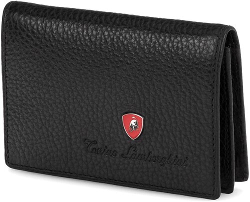 Визитница Tonino Lamborghini, черный