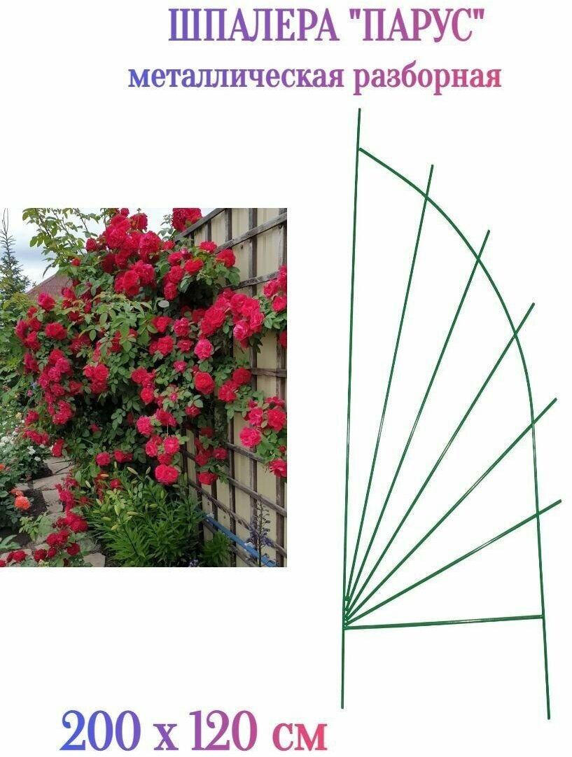 Шпалера "Парус" металлическая 120x200 см - станет эффектным украшением сада и надежной опорой для вьющихся многолетних и однолетних растений (клематисов, плющей, роз, ипомей и других).