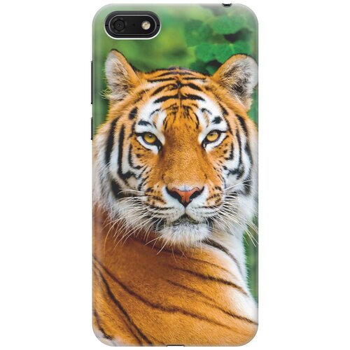 фото Re:paчехол - накладка artcolor для huawei y5 (2018) / y5 prime (2018) / honor 7s / honor 7a с принтом "портрет тигра"