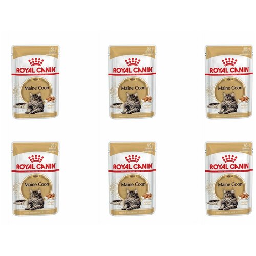Royal Canin Корм консервированный для кошек Мейн Кун, соус, 85 г, 6 шт