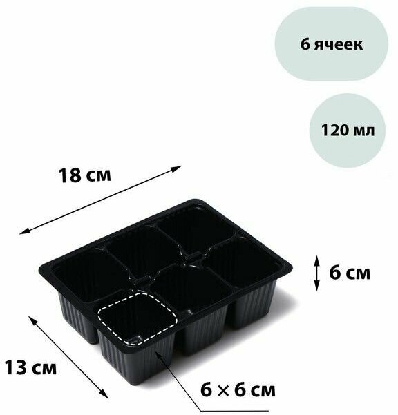 Кассета для рассады, 6 ячеек по 120 мл, набор 10 шт,