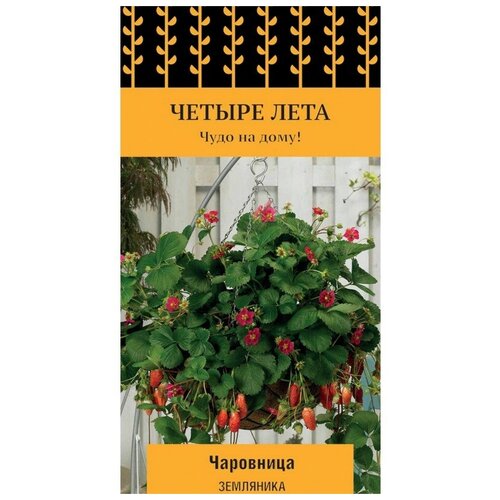 Удалить Земляника ремонтантная Поиск Чаровница 5шт комплект семян земляника ремонтантная чаровница х 3 шт