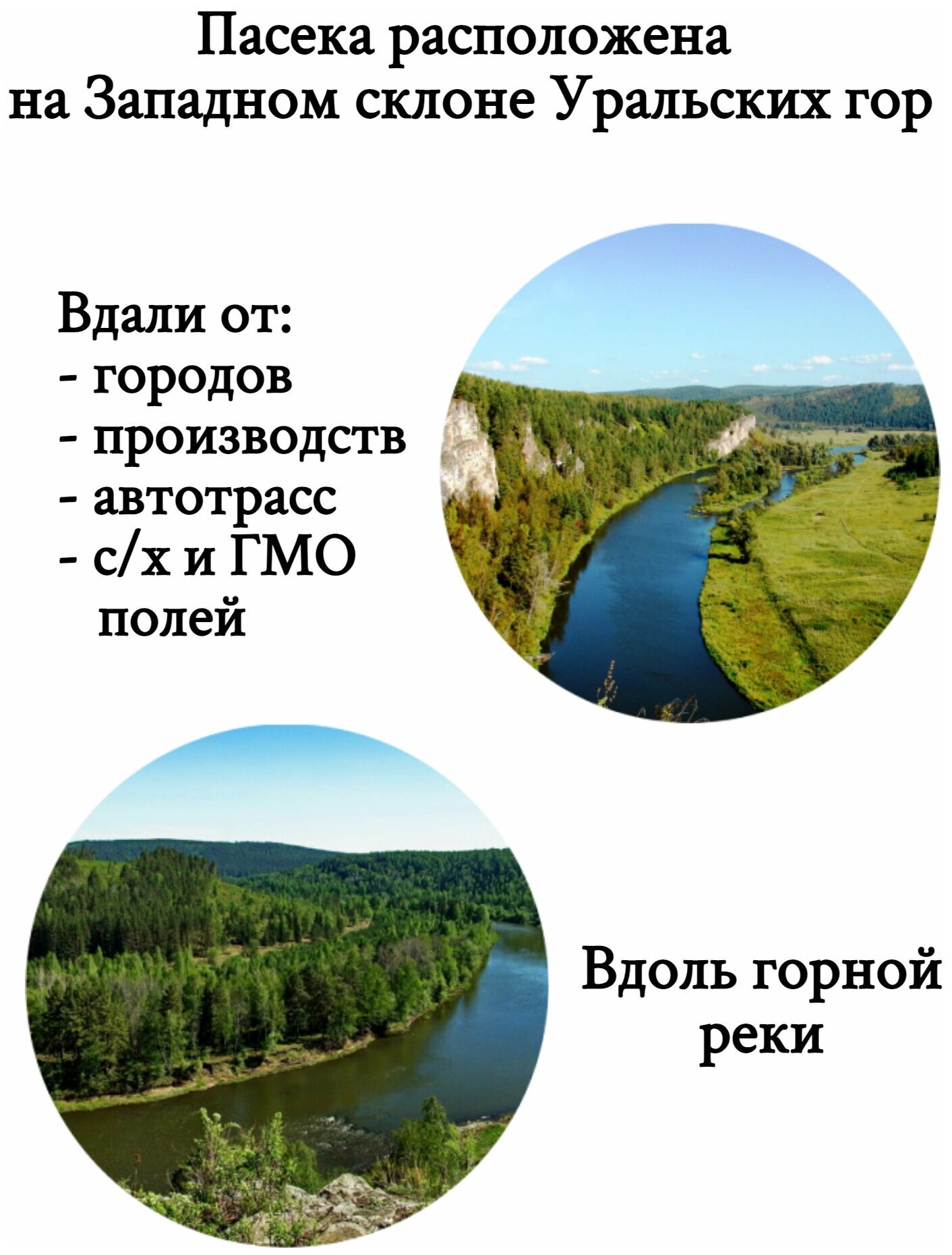 Мед липовый башкирский, цельный необработанный, vtl, липа 85%, Урожай 2022, ЖивойМед, жидкий - фотография № 4