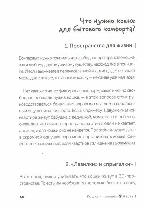 Кот в доме хозяин! Как понять своего питомца, подружиться и не навредить - фото №19