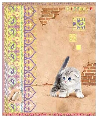 Тетради 48 листов серия " Кошки-мышки" Набор 5 шт. Цена за 5 штук.