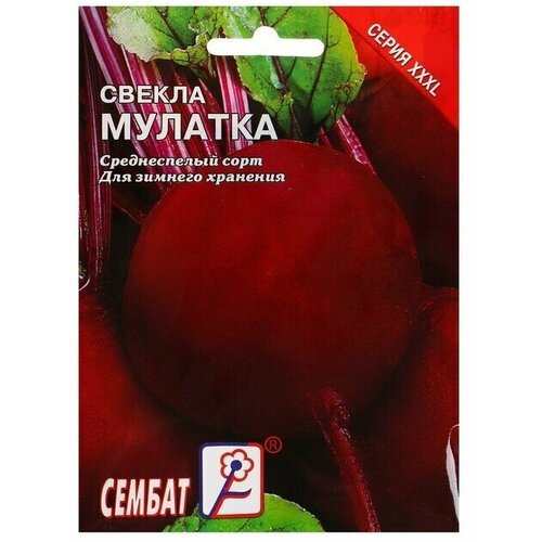 Семена ХХХL Свекла Мулатка , 10 г семена хххl свекла мулатка 10 г