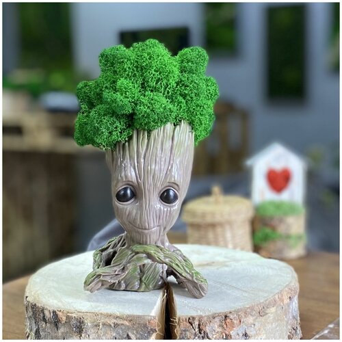 Кашпо со мхом 