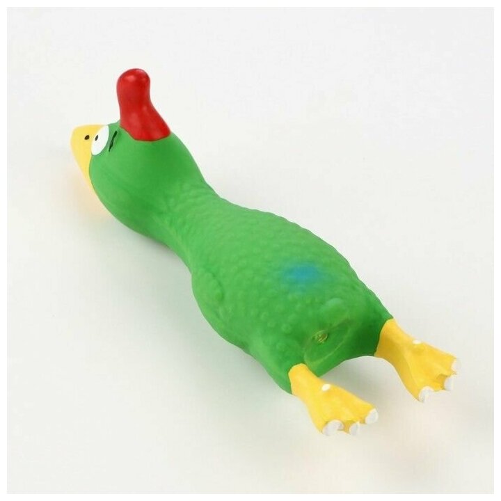 Игрушка пищащая для собак из латекса Петух, 18 см, зеленая - фотография № 3