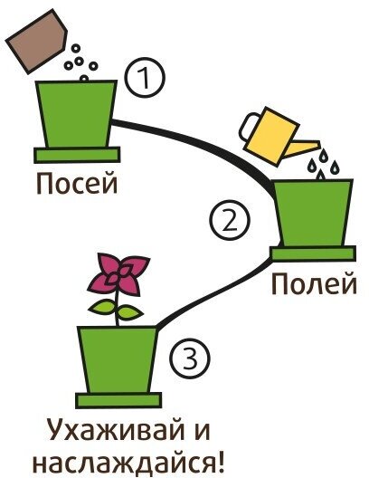 Набор, Happy Plant Горшок Руккола пряная для выращивания (бантик) - фото №2