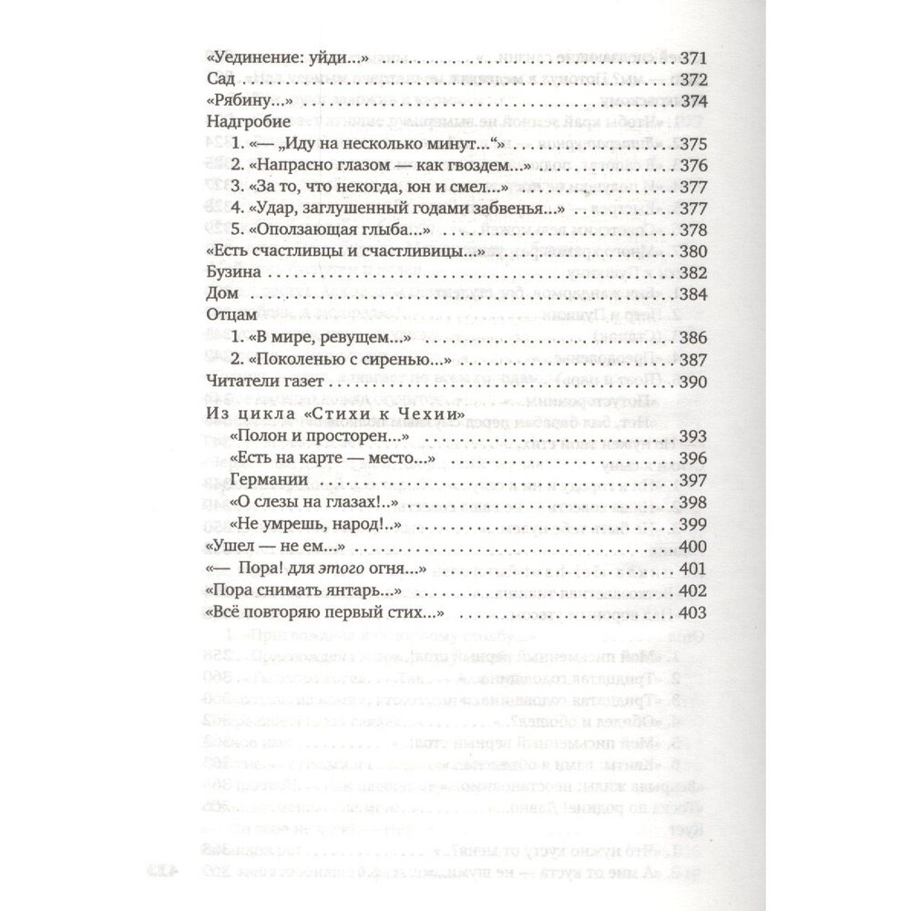 Волшебный фонарь (Цветаева Марина Ивановна) - фото №10