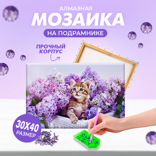 Алмазная мозаика Solmax со стразами на подрамнике Лавандовый котенок, 30х40 см