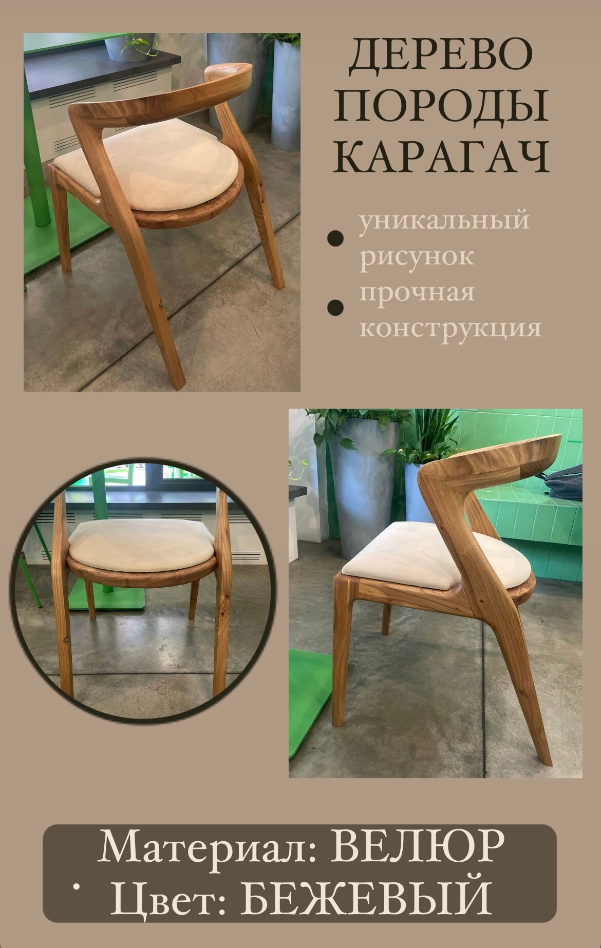 Стул EVOLUXWOOD "Лофт", массив дерева, велюр, бежевый, коричневый, 72x49x45 см — фото 1