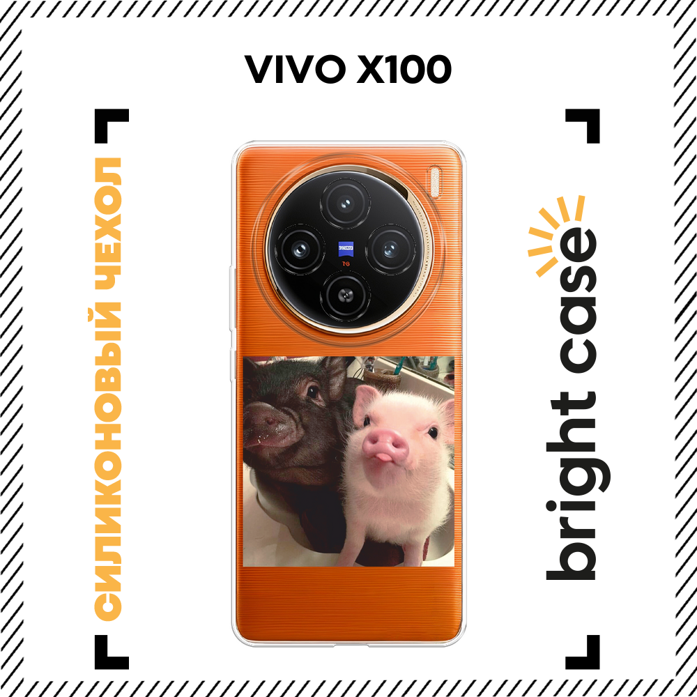 Чехол на Vivo X100 / Виво X100 с принтом Два поросенка, прозрачный