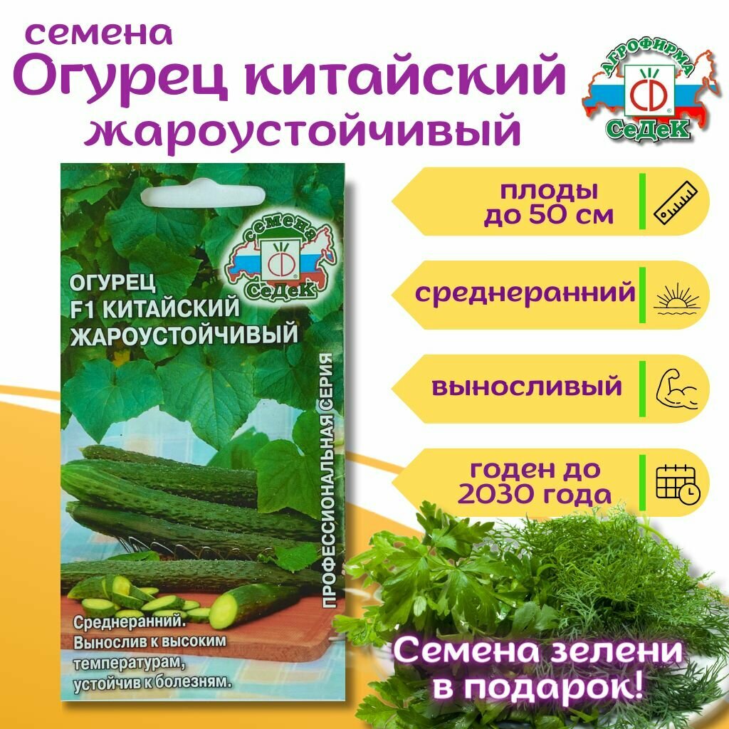Огурцы китайские жароустойчивые семена 02 г + петрушка или укроп в подарок