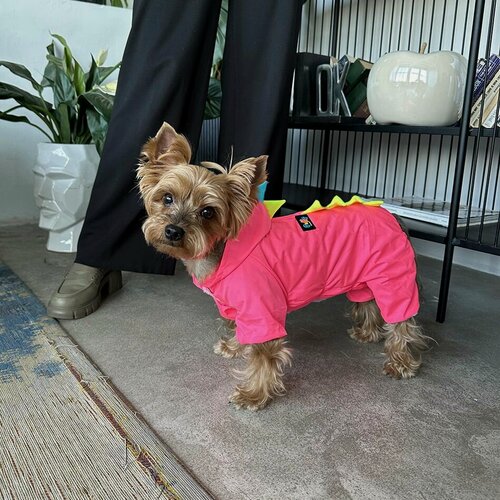 Изображение товара Куртка-дождевик утепленный на холодную осень и теплую зиму Puffy Дино